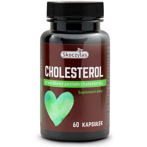 198-cholesterol2