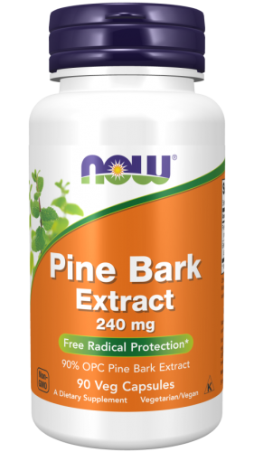 NOW FOODS Pine Bark Extract KORA SOSNY OPC EGCG