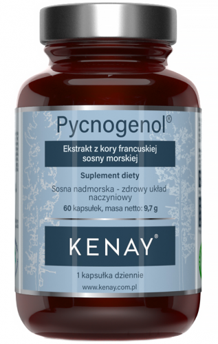 KENAY Pycnogenol® Ekstrakt z kory francuskiej sosny morskiej 60 kaps.